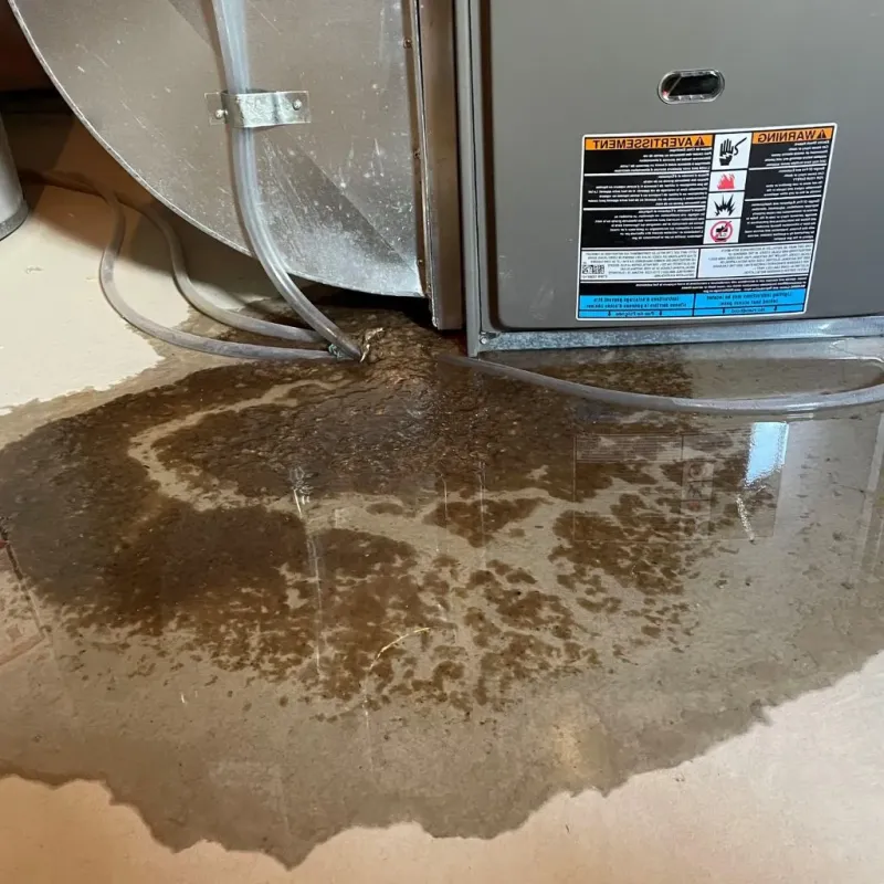 Pipe Burst and Leak Restoration in Magoffin County, KY