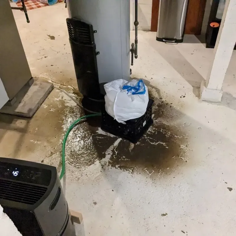 Sewage Backup Cleanup Service in Magoffin County, KY